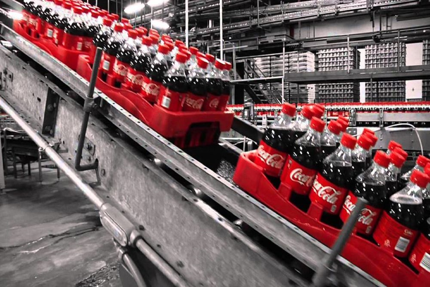 Coca-Cola HBC sceglie l'app modenese Dishcovery per supportare duemila bar e ristoranti